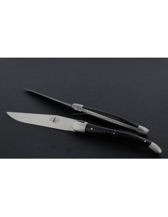 Couteaux Tradition manche acrylique noir Lot de 2 ou de 6 2
