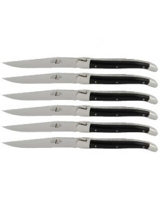 Couteaux Tradition manche acrylique noir Lot de 6